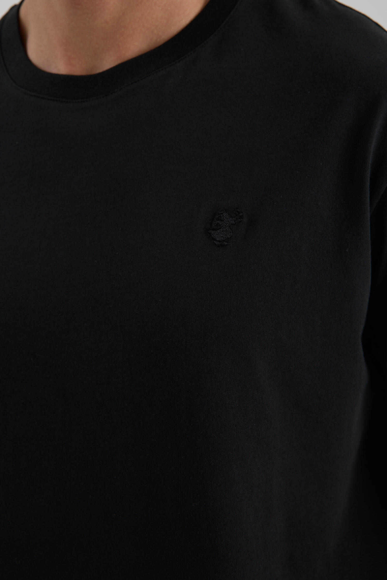 Erkek T-shirt Siyah - Clem