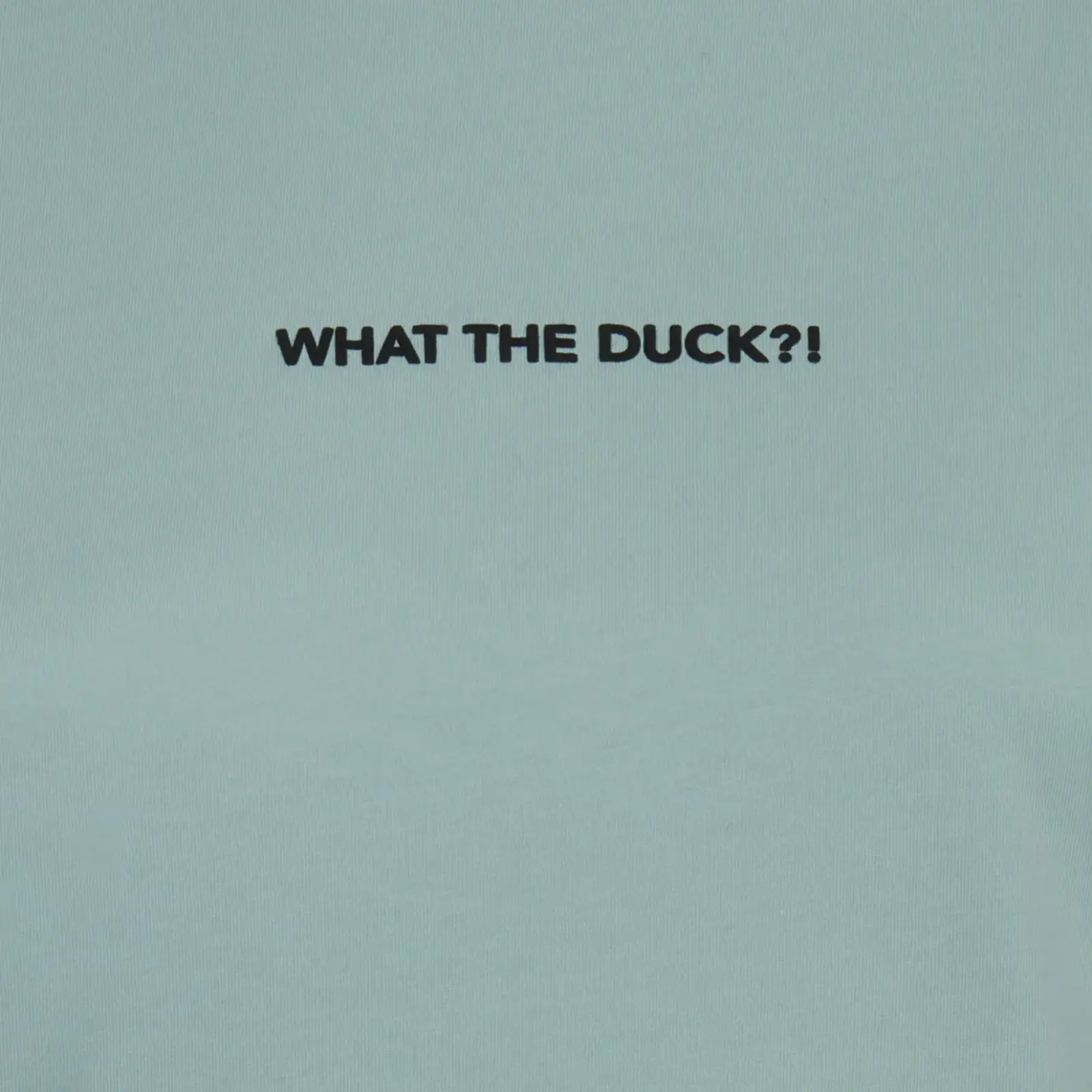 Kadın T-shirt Ada Mavisi -WHAT THE DUCK